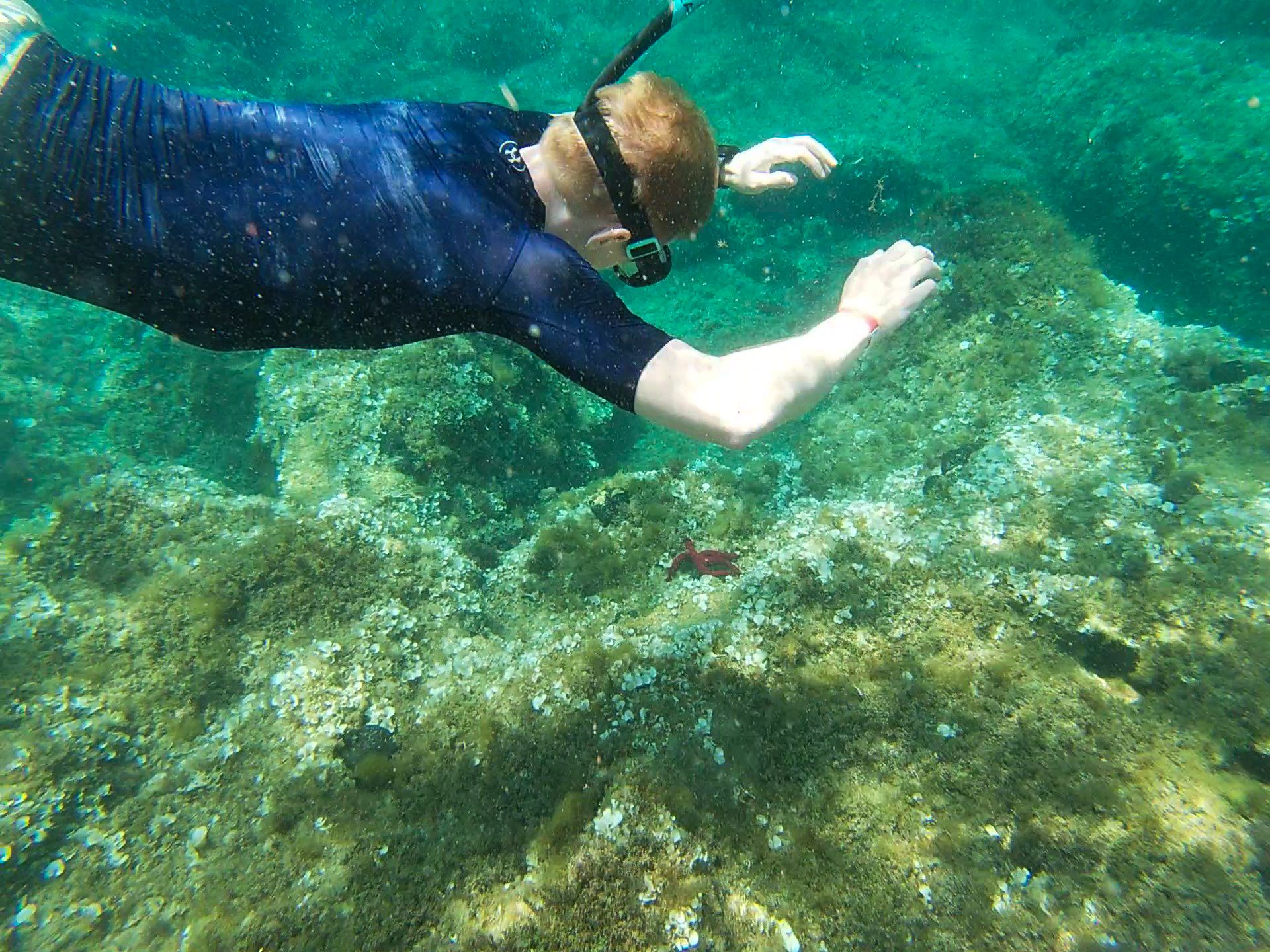 Meet the Sea - Excursión guiada de snorkel y paddle surf