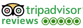 Trip Advisor Reviews