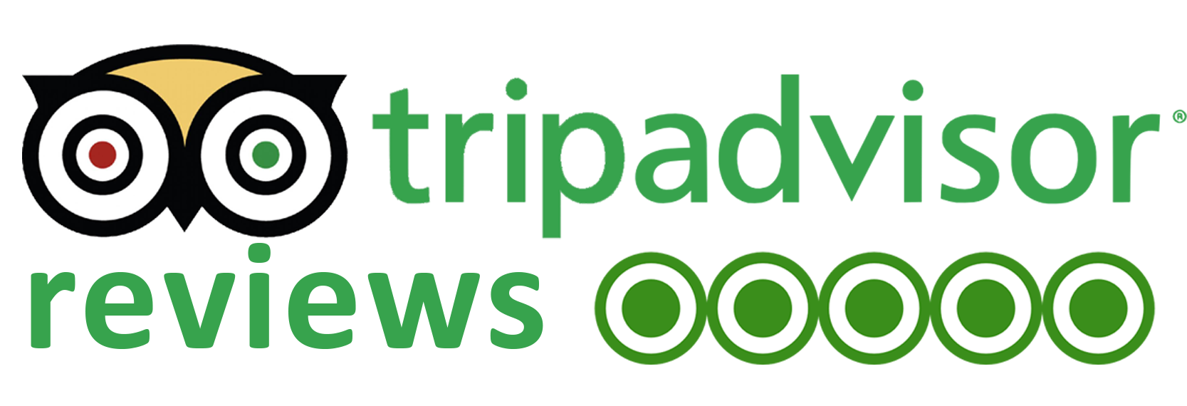 Logo de tripadvisor que necabeza nuestro blog sobre lo que los clientes apreciaron más en nuestra excursión familiar en barco de Meet the Sea
