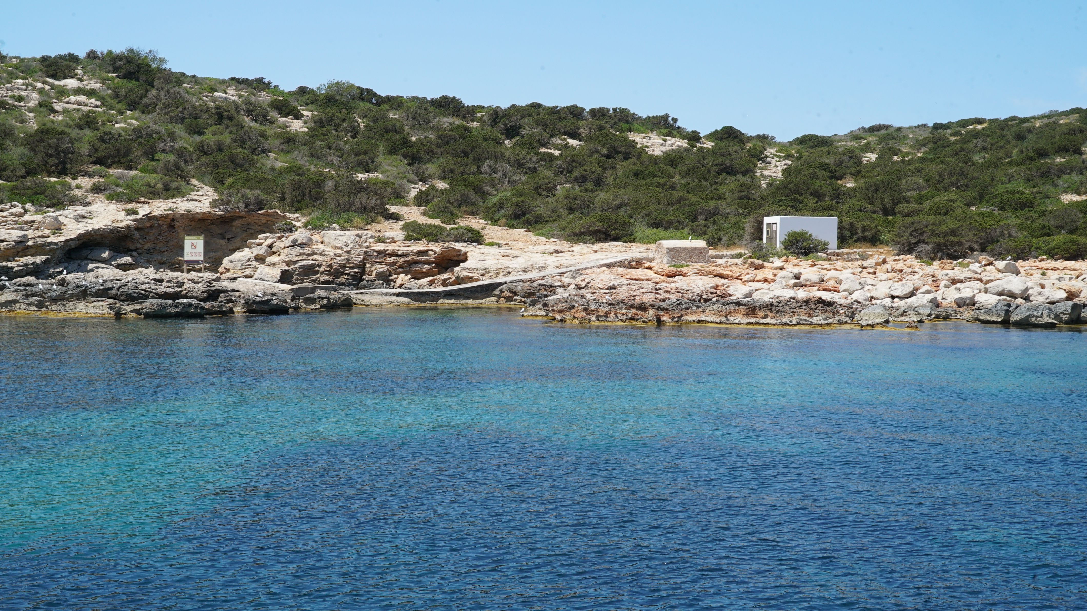 Meet the Sea - Introducción a la vida marina