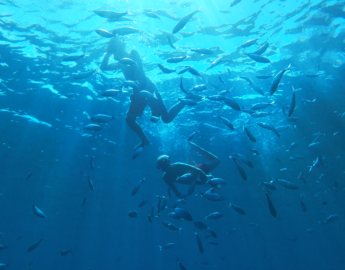 Niños buceando en Ibiza durantenuestra excursión familiar en barco o Family Boat trip