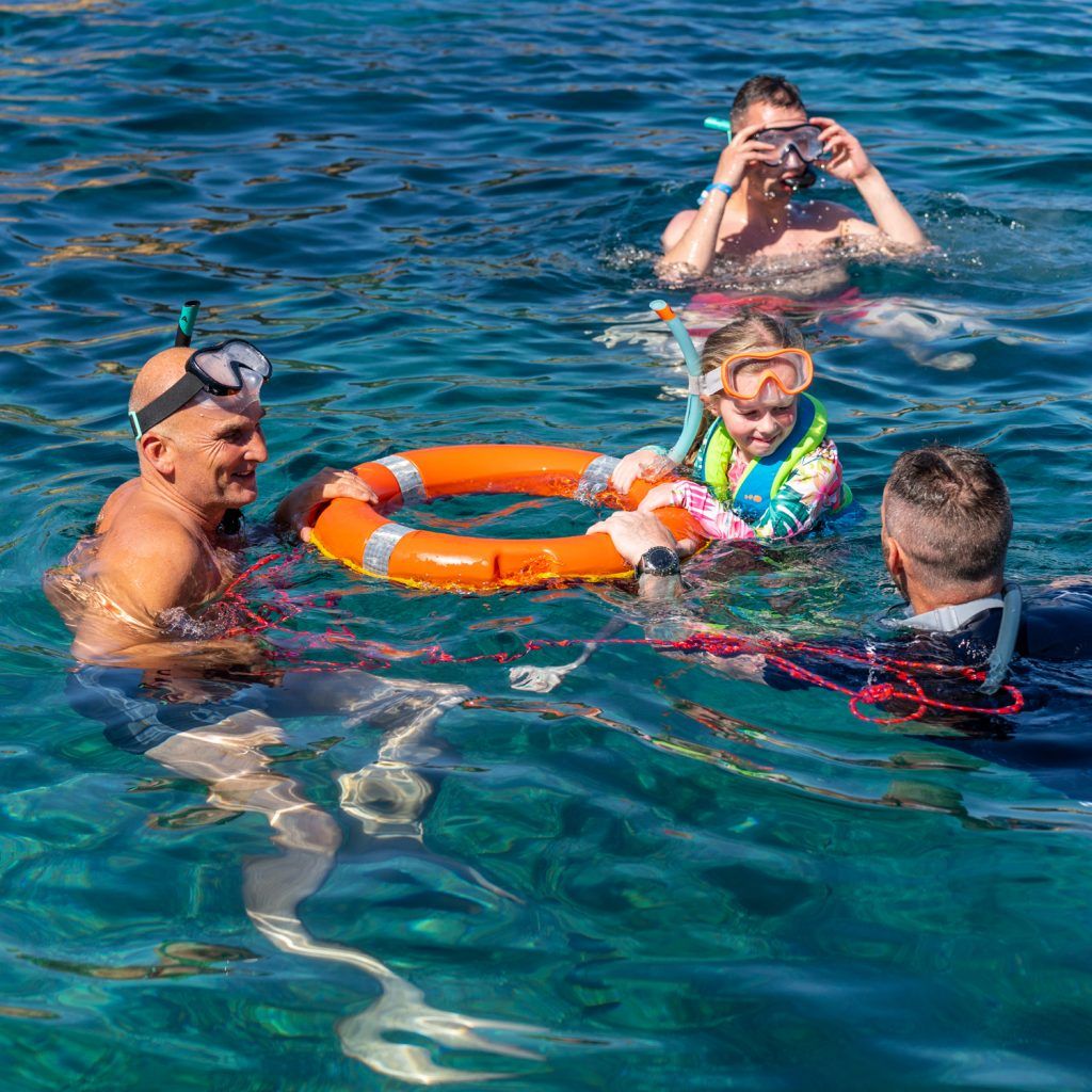 meet the sea guided snorkelling tour