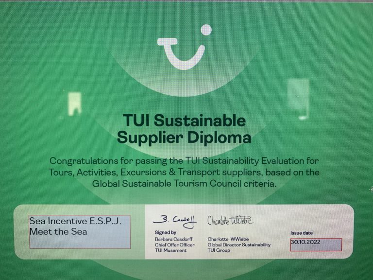 Lee más sobre el artículo El diploma de sostenibilidad de Tui