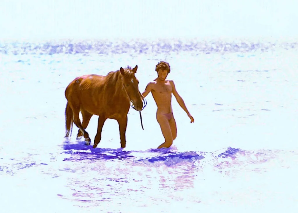 Our first Meet the Sea podcast with Carlos Martorell is LIVE! 1 CABALLO SALINAS